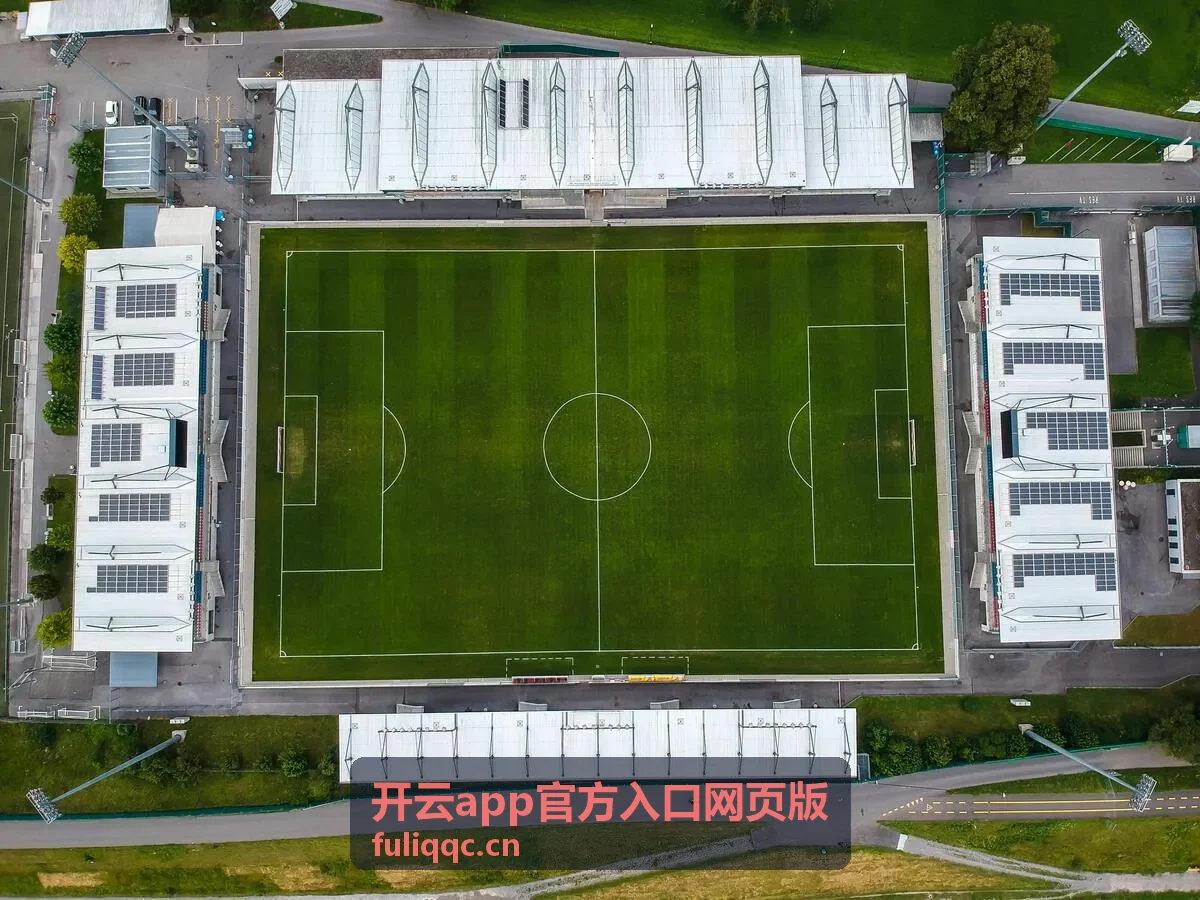 开云app官方入口网页版账号安全设置页