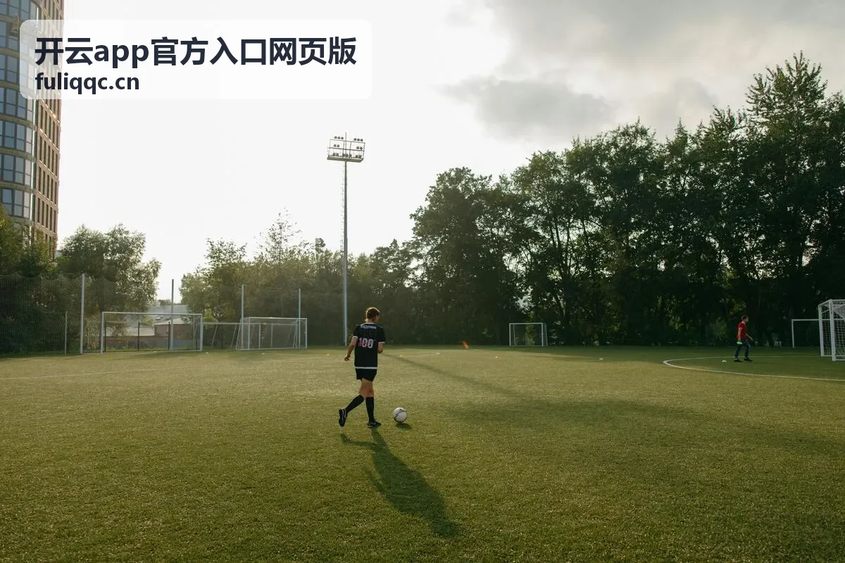 开云app官方入口网页版移动端页面效果